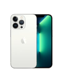 iPhone 13 Pro 256GB Silver (uuendatud, seisukord A), hõbedane цена и информация | Мобильные телефоны | kaup24.ee