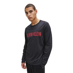 ФутболкаCalvin Klein Black 545650704 цена и информация | Мужские футболки | kaup24.ee