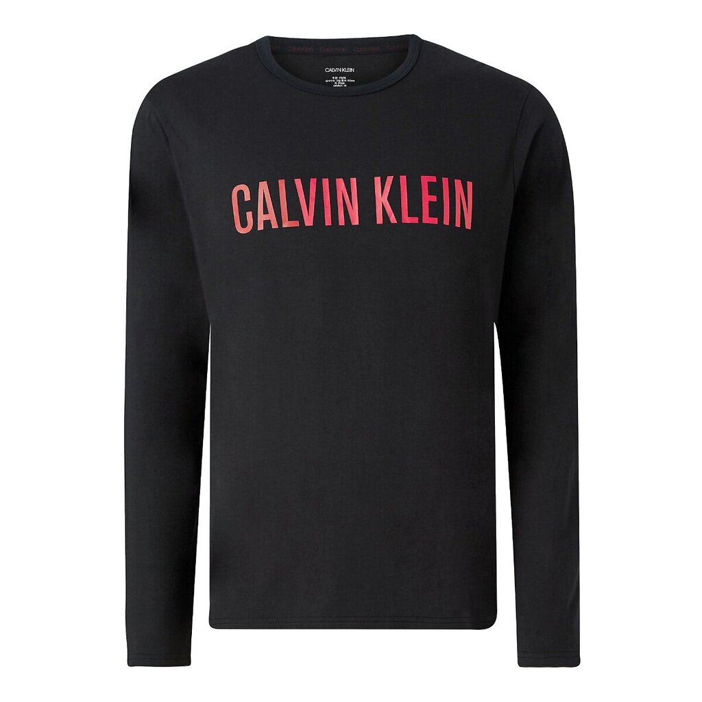 Calvin Klein Black 545650704 цена и информация | Meeste T-särgid | kaup24.ee