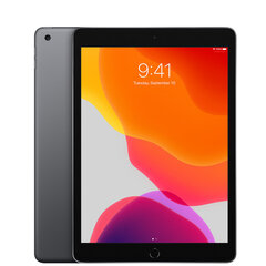 iPad 7 10.2" 32GB WiFi Space Gray (uuendatud, seisukord A), hall цена и информация | Планшеты | kaup24.ee