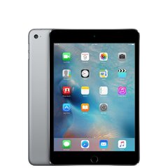 Планшет iPad Mini 4 7.9" 16GB WiFi Space Gray (обновленный, состояние A) цена и информация | Планшеты | kaup24.ee