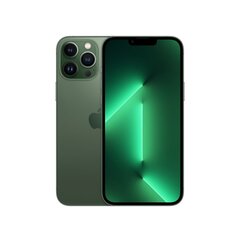 Телефон iPhone 13 Pro Max 256GB Alpine Green (обновленный, состояние A) цена и информация | Мобильные телефоны | kaup24.ee