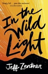 In the Wild Light цена и информация | Книги для подростков и молодежи | kaup24.ee