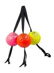 Väike pall koertele silikoonist täitega Amibelle, roosa 9 cm цена и информация | Игрушки для собак | kaup24.ee