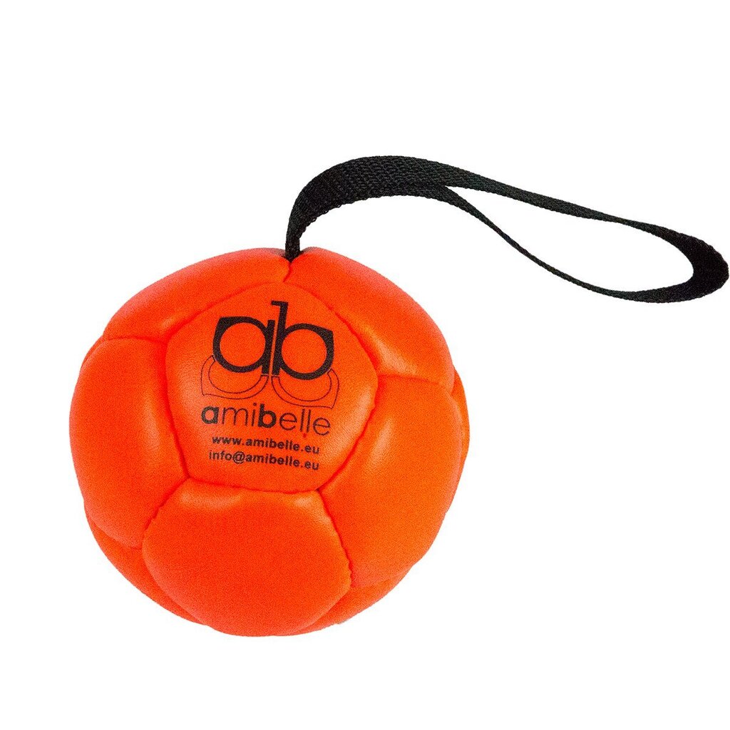 Täispuhutav pall koertele Amibelle, oranž 10 cm hind ja info | Mänguasjad koertele | kaup24.ee