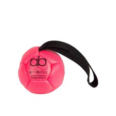 Väike pall koertele silikoonist täitega Amibelle, roosa 9 cm hind ja info | Mänguasjad koertele | kaup24.ee