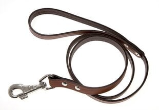 Amibelle поводок кожаный коричневый, ширина 2,4 см, длина 120 см цена и информация | Поводки для собак | kaup24.ee