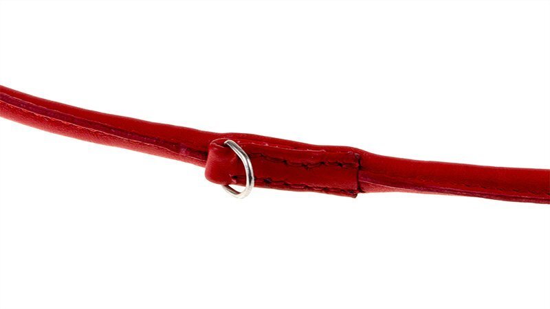 Reguleeritav nahast koerte jalutusrihm Amibelle, punane, M, laius 1,5 cm hind ja info | Koerte jalutusrihmad | kaup24.ee