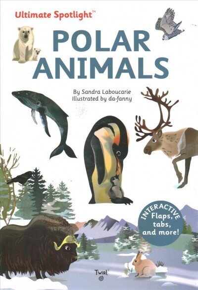 Ultimate Spotlight - Polar Animals hind ja info | Väikelaste raamatud | kaup24.ee