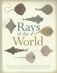 Rays of the World hind ja info | Laste õpikud | kaup24.ee