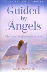 Guided By Angels: There are No Goodbyes, My Tour of the Spirit World edition цена и информация | Самоучители | kaup24.ee