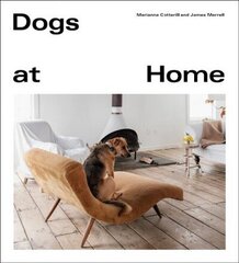 Dogs at Home цена и информация | Книги о питании и здоровом образе жизни | kaup24.ee