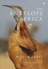 antelope of Africa цена и информация | Книги о питании и здоровом образе жизни | kaup24.ee