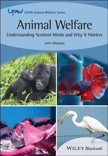 Animal Welfare: Understanding Sentient Minds and W hy It Matters цена и информация | Majandusalased raamatud | kaup24.ee