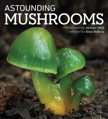 Astounding Mushrooms цена и информация | Книги о питании и здоровом образе жизни | kaup24.ee