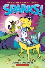 Double Dog Dare: A Graphic Novel (Sparks! #2) цена и информация | Книги для подростков и молодежи | kaup24.ee