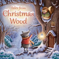 Tales from Christmas Wood New edition цена и информация | Книги для малышей | kaup24.ee