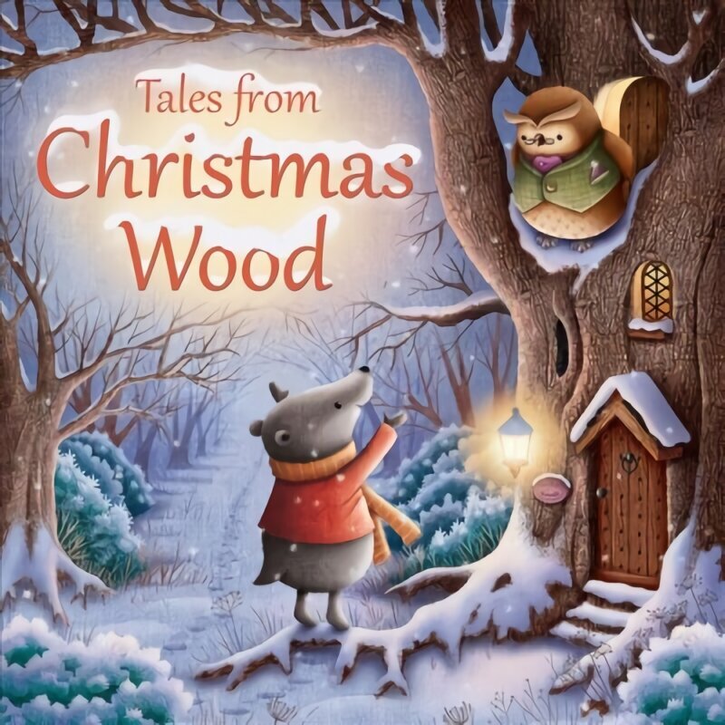 Tales from Christmas Wood New edition hind ja info | Väikelaste raamatud | kaup24.ee