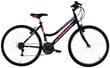 Laste jalgratas - must roosaga (Ratta suurus: 26”) цена и информация | Jalgrattad | kaup24.ee