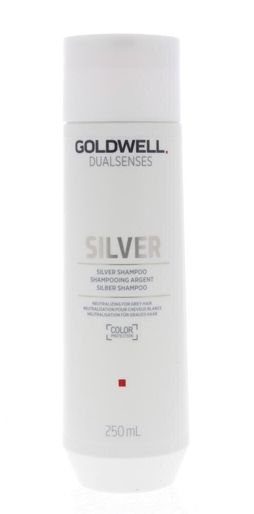 Goldwell Dualsenses Silver Shampoo 250ml цена и информация | Šampoonid | kaup24.ee
