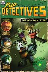 Soccer Mystery цена и информация | Книги для подростков и молодежи | kaup24.ee