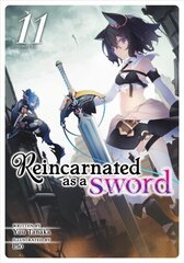 Reincarnated as a Sword (Light Novel) Vol. 11 hind ja info | Fantaasia, müstika | kaup24.ee