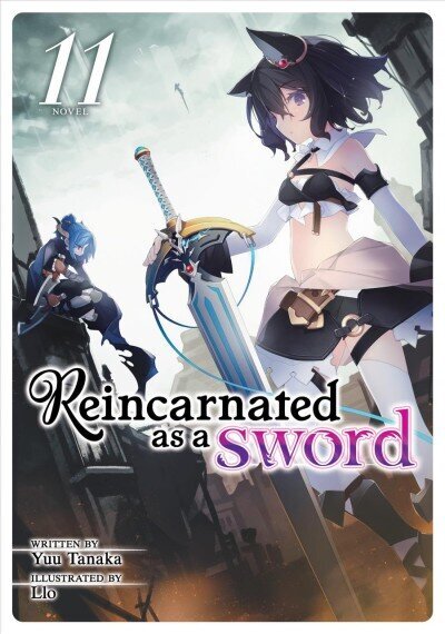 Reincarnated as a Sword (Light Novel) Vol. 11 цена и информация | Fantaasia, müstika | kaup24.ee