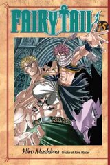 Fairy Tail 15, 15 цена и информация | Фантастика, фэнтези | kaup24.ee