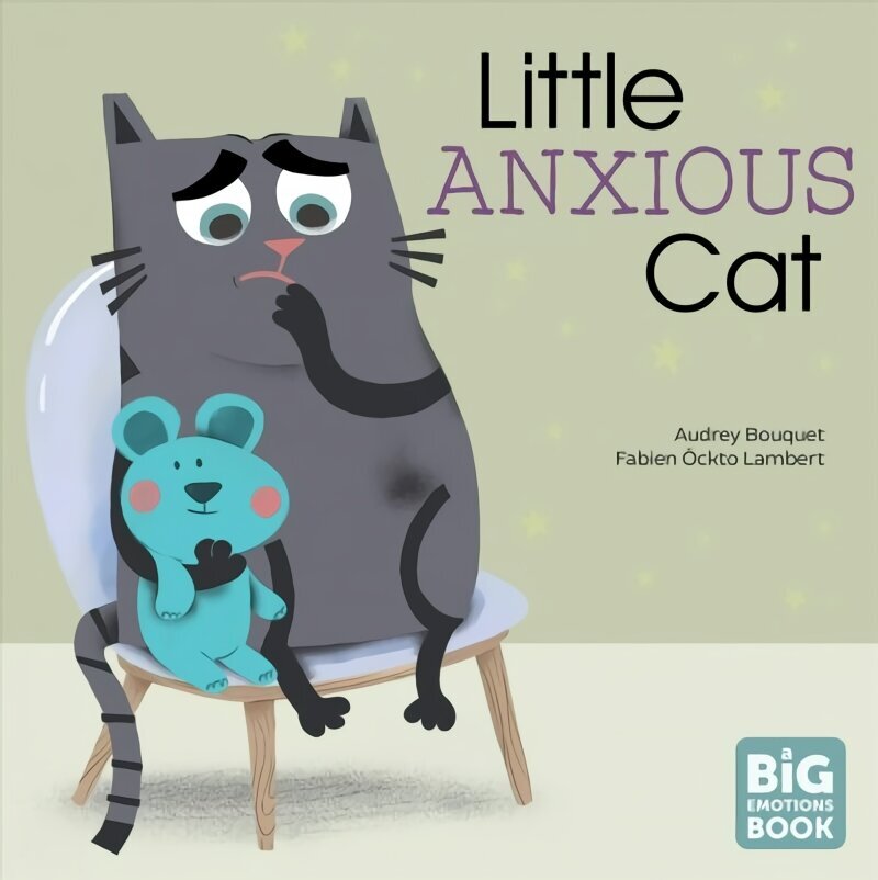 Little Anxious Cat цена и информация | Väikelaste raamatud | kaup24.ee