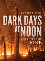 Dark Days at Noon: The Future of Fire цена и информация | Книги по экономике | kaup24.ee