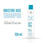 Niisutav mitsellaaršampoon Schwarzkopf Professional BC Hyaluronic 250 ml цена и информация | Šampoonid | kaup24.ee