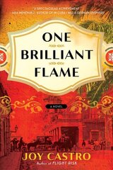 One Brilliant Flame: A Novel цена и информация | Фантастика, фэнтези | kaup24.ee