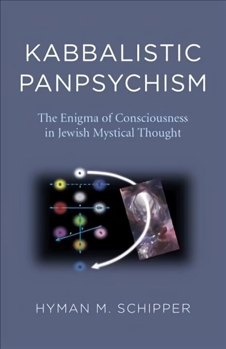 Kabbalistic Panpsychism - The Enigma of Consciousness in Jewish Mystical Thought цена и информация | Ajalooraamatud | kaup24.ee