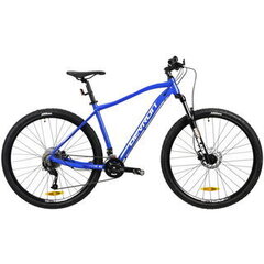 Горный велосипед Devron Riddle Man 1.7 29", 40 мм, синий цена и информация | Велосипеды | kaup24.ee