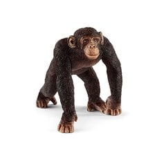Фигурка шимпанзе Schleich цена и информация | Развивающий мелкую моторику - кинетический песок KeyCraft NV215 (80 г) детям от 3+ лет, бежевый | kaup24.ee