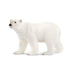 Фигурка Белый медведь Schleich цена и информация | Развивающий мелкую моторику - кинетический песок KeyCraft NV215 (80 г) детям от 3+ лет, бежевый | kaup24.ee