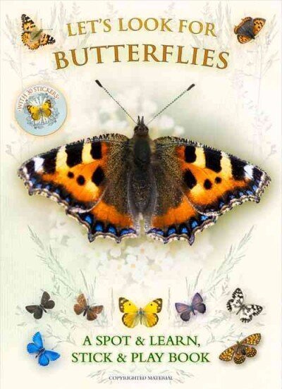 Let's Look for Butterflies hind ja info | Väikelaste raamatud | kaup24.ee