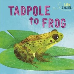 Life Cycles: From Tadpole to Frog цена и информация | Книги для подростков и молодежи | kaup24.ee