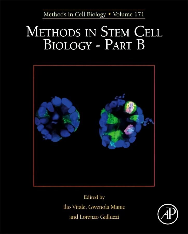 Methods in Stem Cell Biology - Part B, Volume 171 цена и информация | Entsüklopeediad, teatmeteosed | kaup24.ee