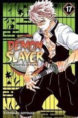 Demon Slayer: Kimetsu no Yaiba, Vol. 17 hind ja info | Fantaasia, müstika | kaup24.ee