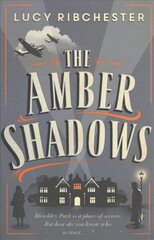 Amber Shadows Paperback Original hind ja info | Fantaasia, müstika | kaup24.ee