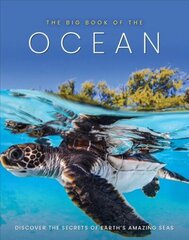 Big Book of the Ocean цена и информация | Энциклопедии, справочники | kaup24.ee