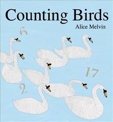 Counting Birds цена и информация | Книги для малышей | kaup24.ee