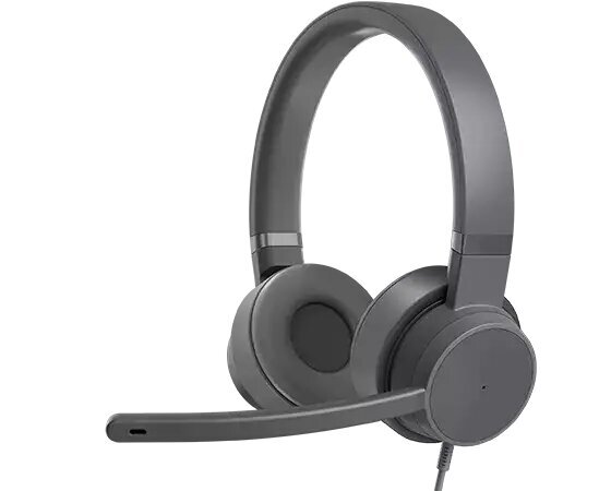 Lenovo Go ANC Headphones, USB Type-C, Storm Gray цена и информация | Kõrvaklapid | kaup24.ee