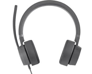 Lenovo Go ANC Headphones, USB Type-C, Storm Gray цена и информация | Наушники | kaup24.ee