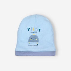 Beebipoisi müts цена и информация | Шапки, перчатки, шарфики для новорожденных | kaup24.ee
