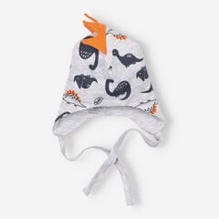 Шапочка для мальчика Nini цена и информация | Шапки, перчатки, шарфики для новорожденных | kaup24.ee