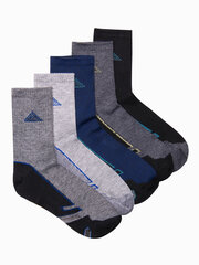 Мужские носки U293 - микс, 5 шт. цена и информация | Мужские носки | kaup24.ee