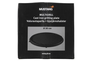 Küpsetusplaat, 30 cm 603434 hind ja info | Grillitarvikud ja grillnõud | kaup24.ee