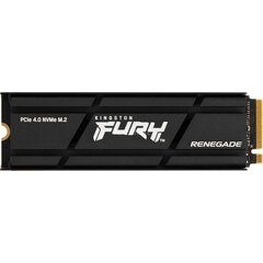 Kingston FURY Renegade, 1TB цена и информация | Внутренние жёсткие диски (HDD, SSD, Hybrid) | kaup24.ee